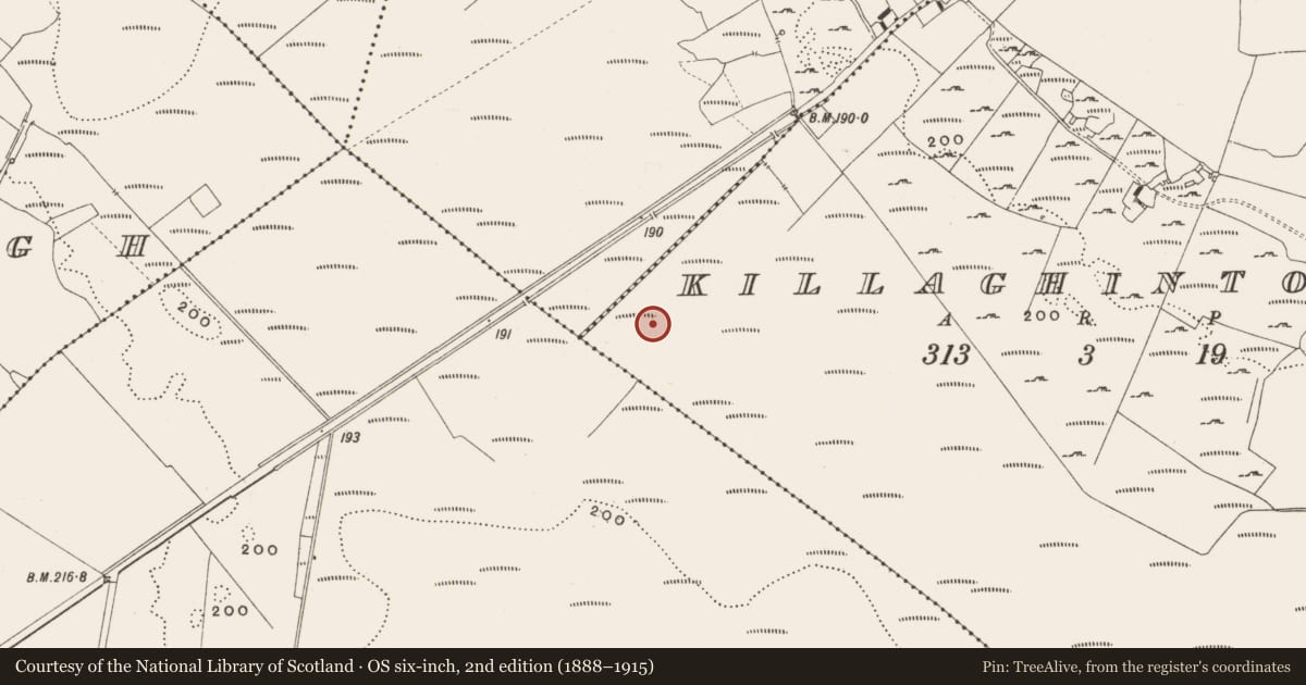 Ordnance Survey six-inch map, 2nd edition (1888–1915) covering the location of Structure - peatland, Killaghintober, County Offaly, with a pin at the register's coordinates