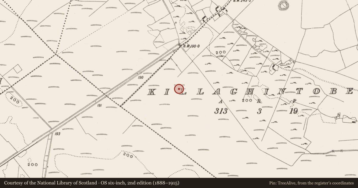 Ordnance Survey six-inch map, 2nd edition (1888–1915) covering the location of Structure - peatland, Killaghintober, County Offaly, with a pin at the register's coordinates