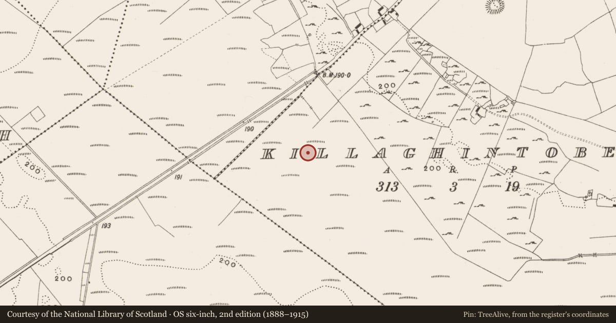 Ordnance Survey six-inch map, 2nd edition (1888–1915) covering the location of Structure - peatland, Killaghintober, County Offaly, with a pin at the register's coordinates
