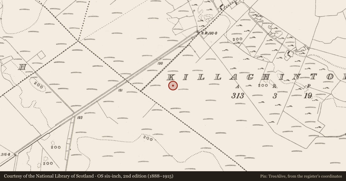 Ordnance Survey six-inch map, 2nd edition (1888–1915) covering the location of Structure - peatland, Killaghintober, County Offaly, with a pin at the register's coordinates