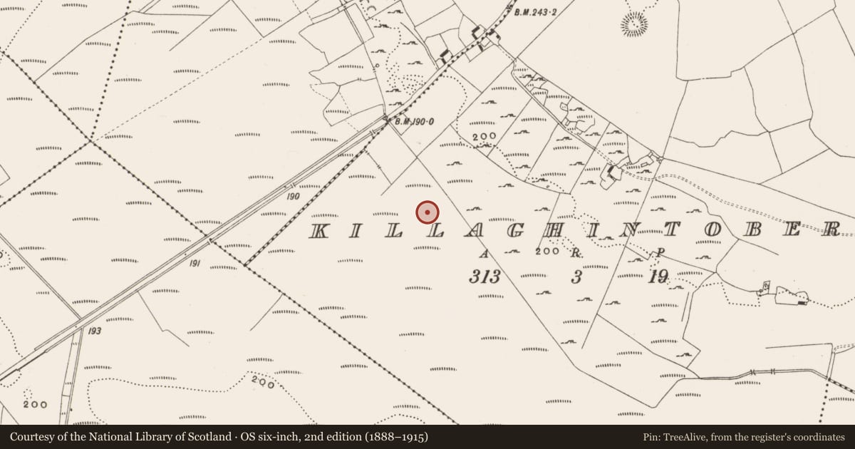 Ordnance Survey six-inch map, 2nd edition (1888–1915) covering the location of Structure - peatland, Killaghintober, County Offaly, with a pin at the register's coordinates