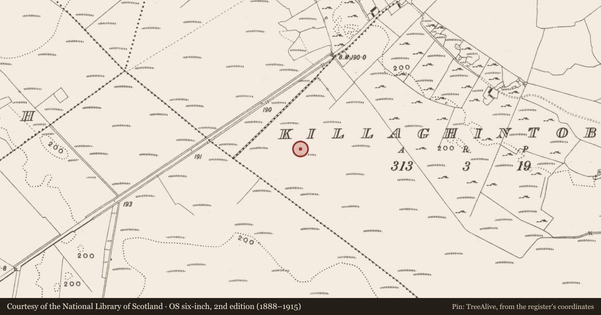 Ordnance Survey six-inch map, 2nd edition (1888–1915) covering the location of Structure - peatland, Killaghintober, County Offaly, with a pin at the register's coordinates