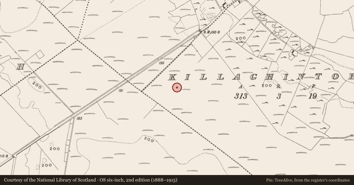 Ordnance Survey six-inch map, 2nd edition (1888–1915) covering the location of Road - class 3 togher, Killaghintober, County Offaly, with a pin at the register's coordinates