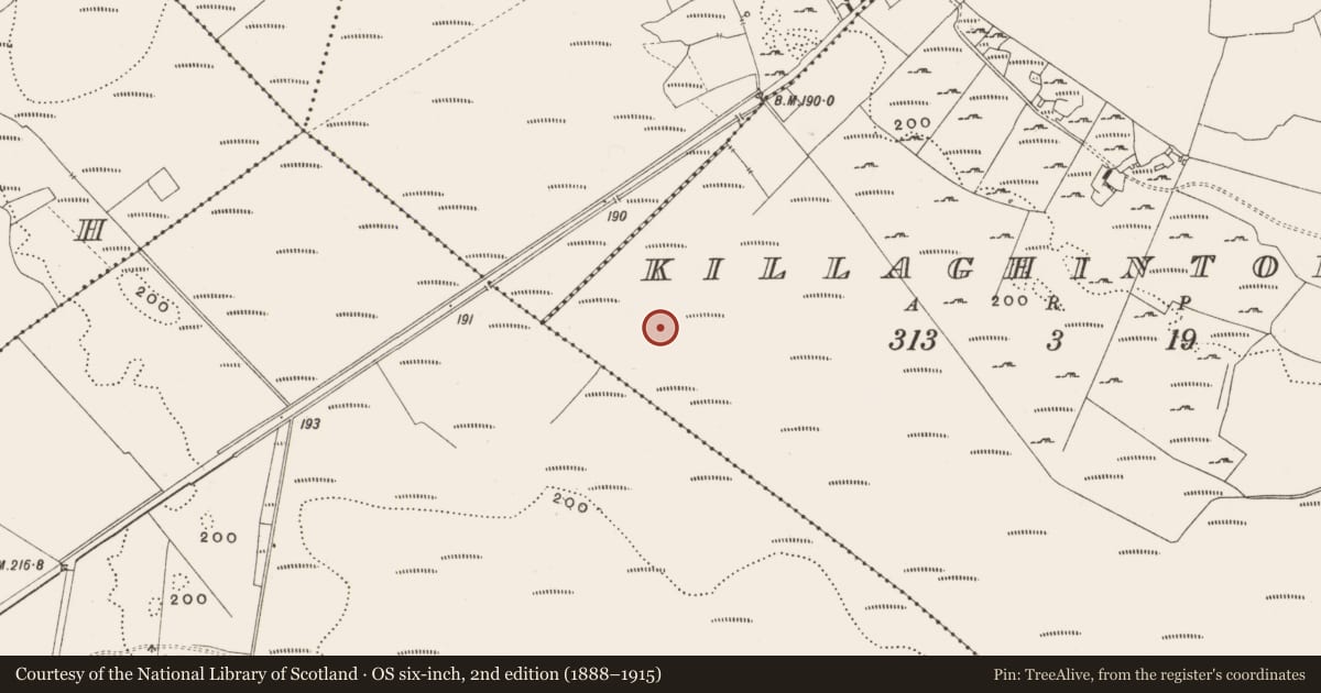 Ordnance Survey six-inch map, 2nd edition (1888–1915) covering the location of Structure - peatland, Killaghintober, County Offaly, with a pin at the register's coordinates