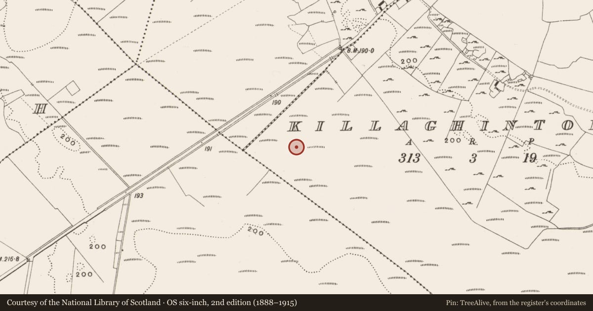 Ordnance Survey six-inch map, 2nd edition (1888–1915) covering the location of Structure - peatland, Killaghintober, County Offaly, with a pin at the register's coordinates