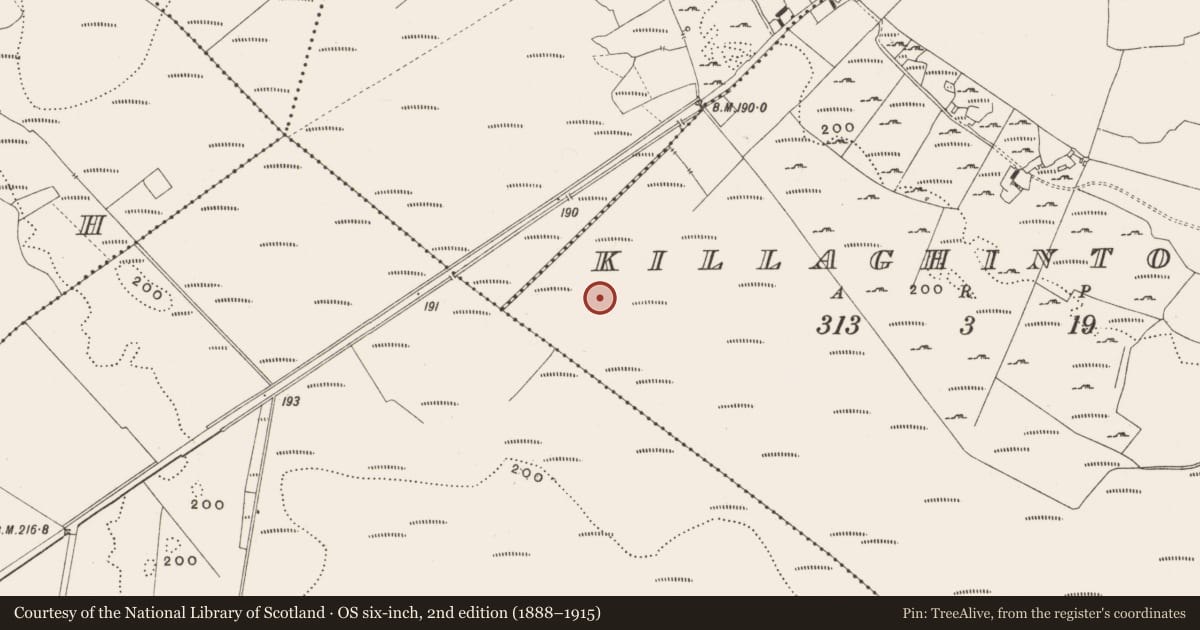 Ordnance Survey six-inch map, 2nd edition (1888–1915) covering the location of Structure - peatland, Killaghintober, County Offaly, with a pin at the register's coordinates