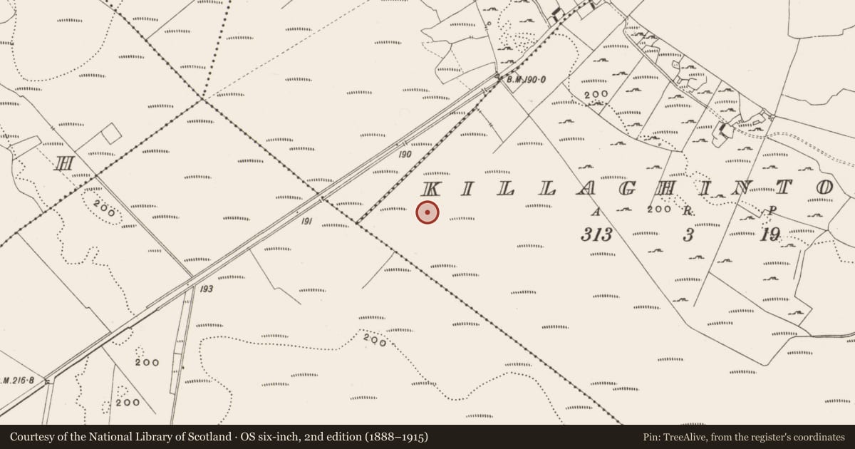 Ordnance Survey six-inch map, 2nd edition (1888–1915) covering the location of Structure - peatland, Killaghintober, County Offaly, with a pin at the register's coordinates
