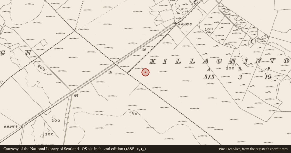 Ordnance Survey six-inch map, 2nd edition (1888–1915) covering the location of Structure - peatland, Killaghintober, County Offaly, with a pin at the register's coordinates