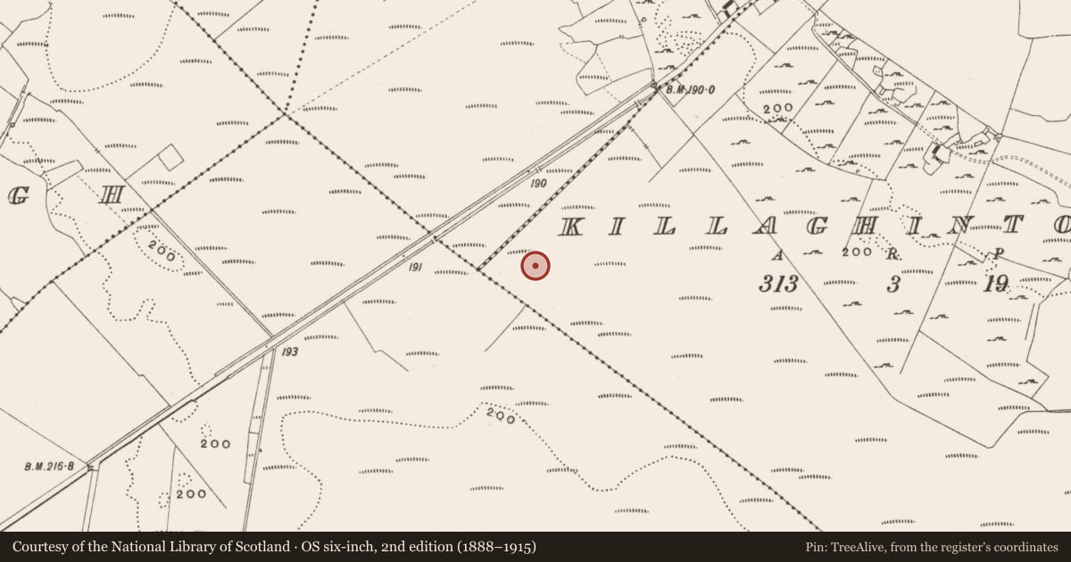 Ordnance Survey six-inch map, 2nd edition (1888–1915) covering the location of Road - class 2 togher, Killaghintober, County Offaly, with a pin at the register's coordinates