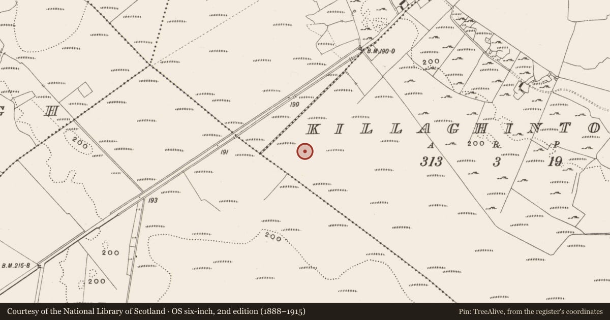 Ordnance Survey six-inch map, 2nd edition (1888–1915) covering the location of Structure - peatland, Killaghintober, County Offaly, with a pin at the register's coordinates