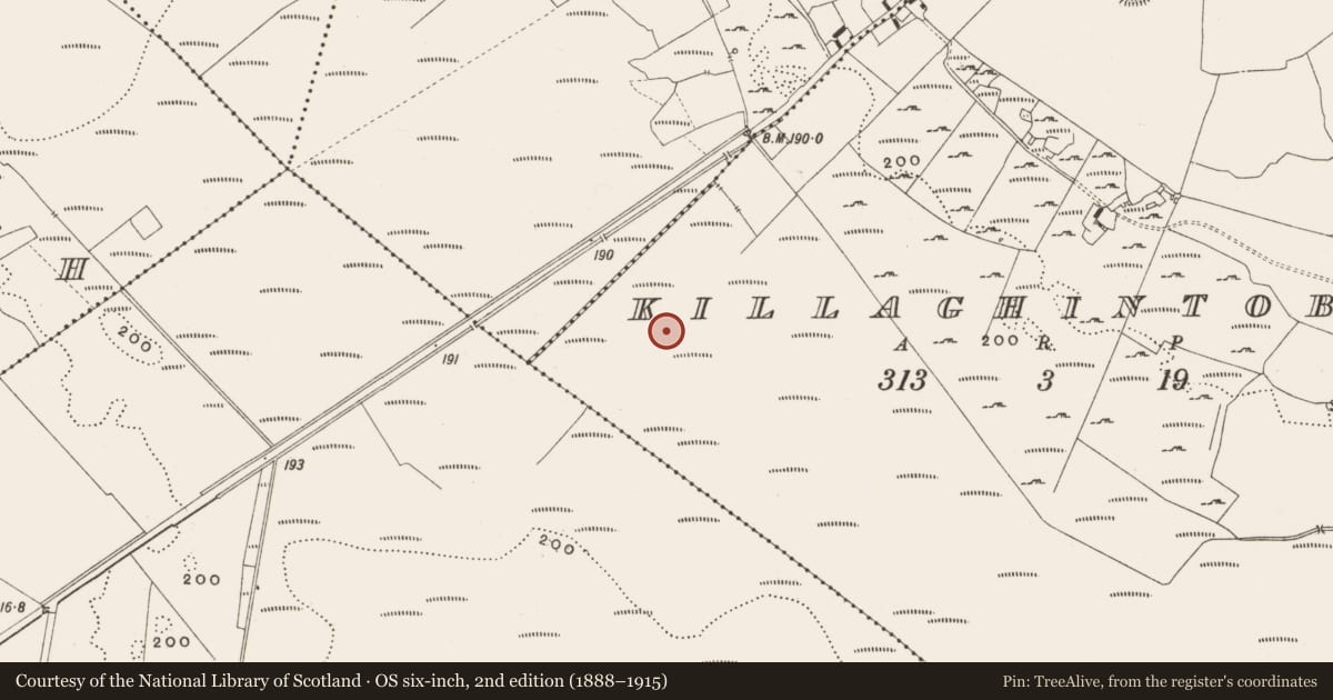 Ordnance Survey six-inch map, 2nd edition (1888–1915) covering the location of Structure - peatland, Killaghintober, County Offaly, with a pin at the register's coordinates