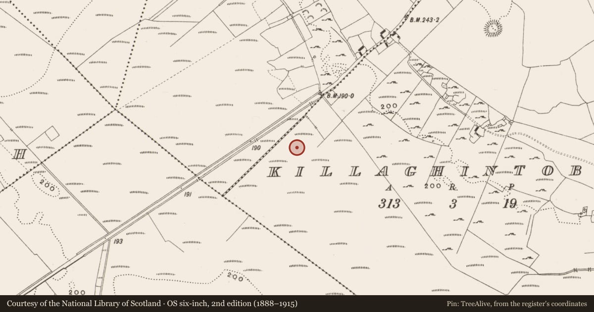 Ordnance Survey six-inch map, 2nd edition (1888–1915) covering the location of Structure - peatland, Killaghintober, County Offaly, with a pin at the register's coordinates