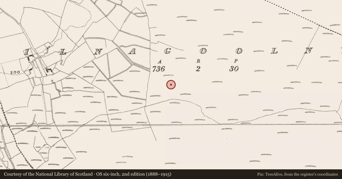 Ordnance Survey six-inch map, 2nd edition (1888–1915) covering the location of Road - class 3 togher, Kilnagoolny, County Offaly, with a pin at the register's coordinates