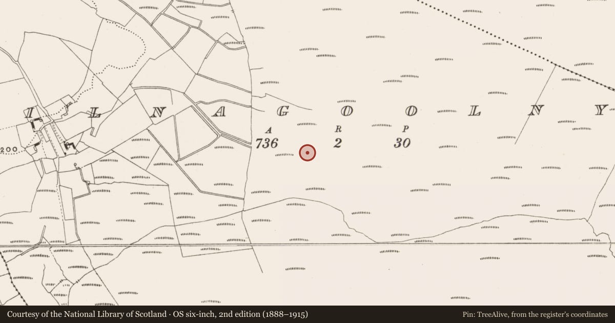 Ordnance Survey six-inch map, 2nd edition (1888–1915) covering the location of Road - class 3 togher, Kilnagoolny, County Offaly, with a pin at the register's coordinates