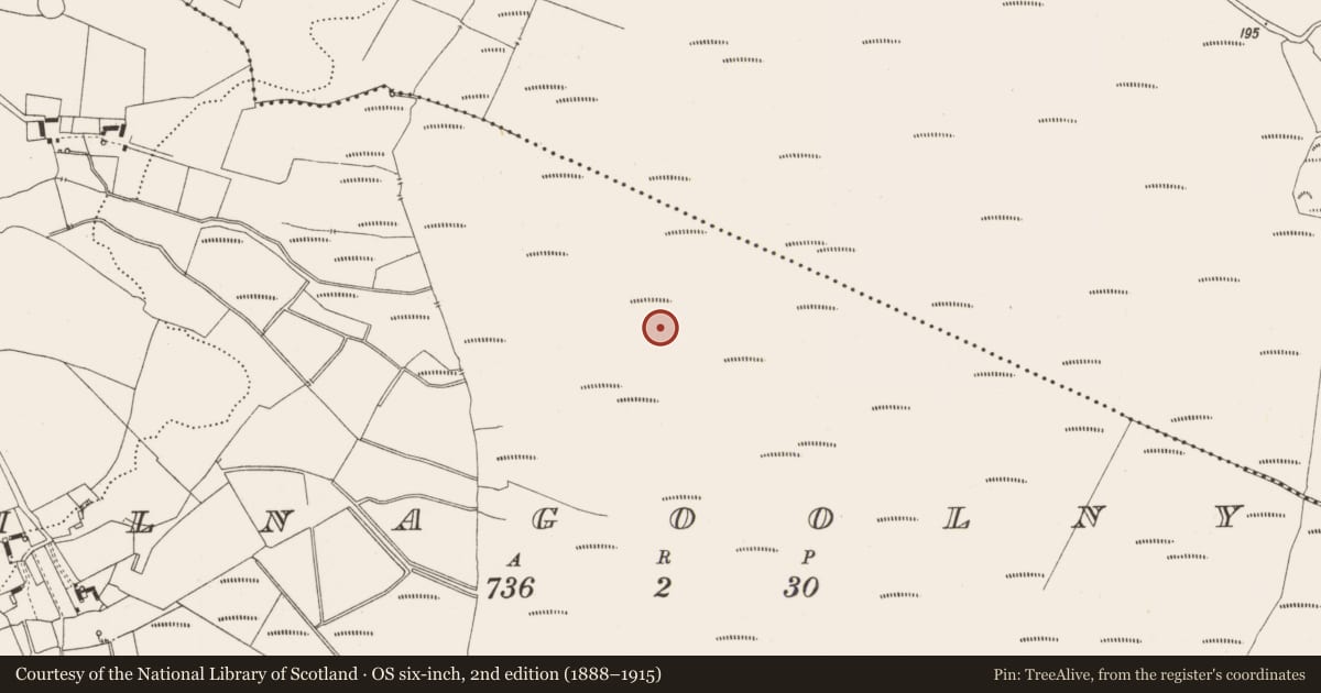 Ordnance Survey six-inch map, 2nd edition (1888–1915) covering the location of Structure - peatland, Kilnagoolny, County Offaly, with a pin at the register's coordinates