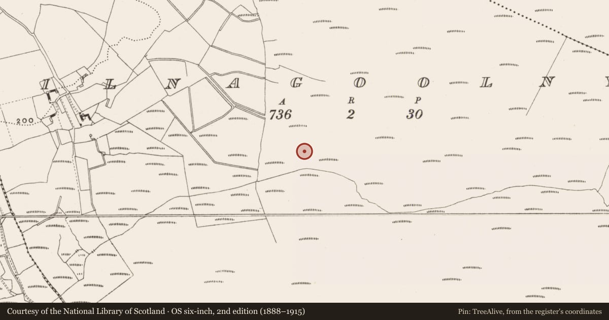 Ordnance Survey six-inch map, 2nd edition (1888–1915) covering the location of Road - class 3 togher, Kilnagoolny, County Offaly, with a pin at the register's coordinates