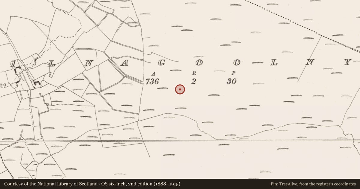 Ordnance Survey six-inch map, 2nd edition (1888–1915) covering the location of Road - class 3 togher, Kilnagoolny, County Offaly, with a pin at the register's coordinates