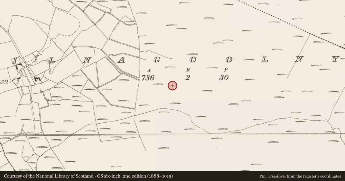Ordnance Survey six-inch map, 2nd edition (1888–1915) covering the location of Road - class 2 togher, Kilnagoolny, County Offaly, with a pin at the register's coordinates