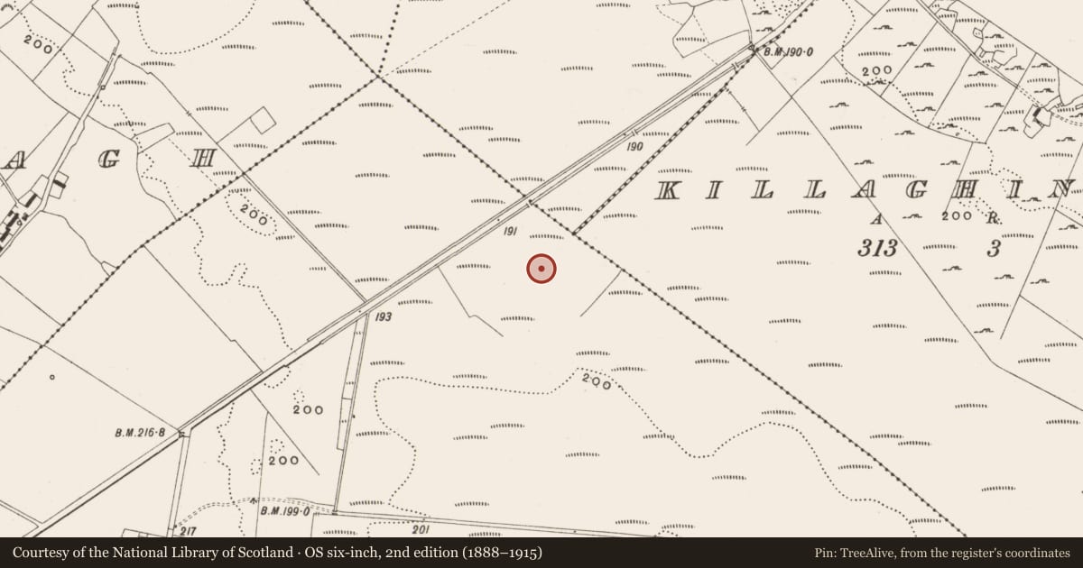 Ordnance Survey six-inch map, 2nd edition (1888–1915) covering the location of Road - class 2 togher, Tumbeagh, County Offaly, with a pin at the register's coordinates