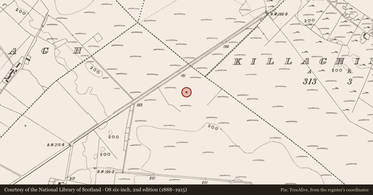 Ordnance Survey six-inch map, 2nd edition (1888–1915) covering the location of Road - class 2 togher, Tumbeagh, County Offaly, with a pin at the register's coordinates