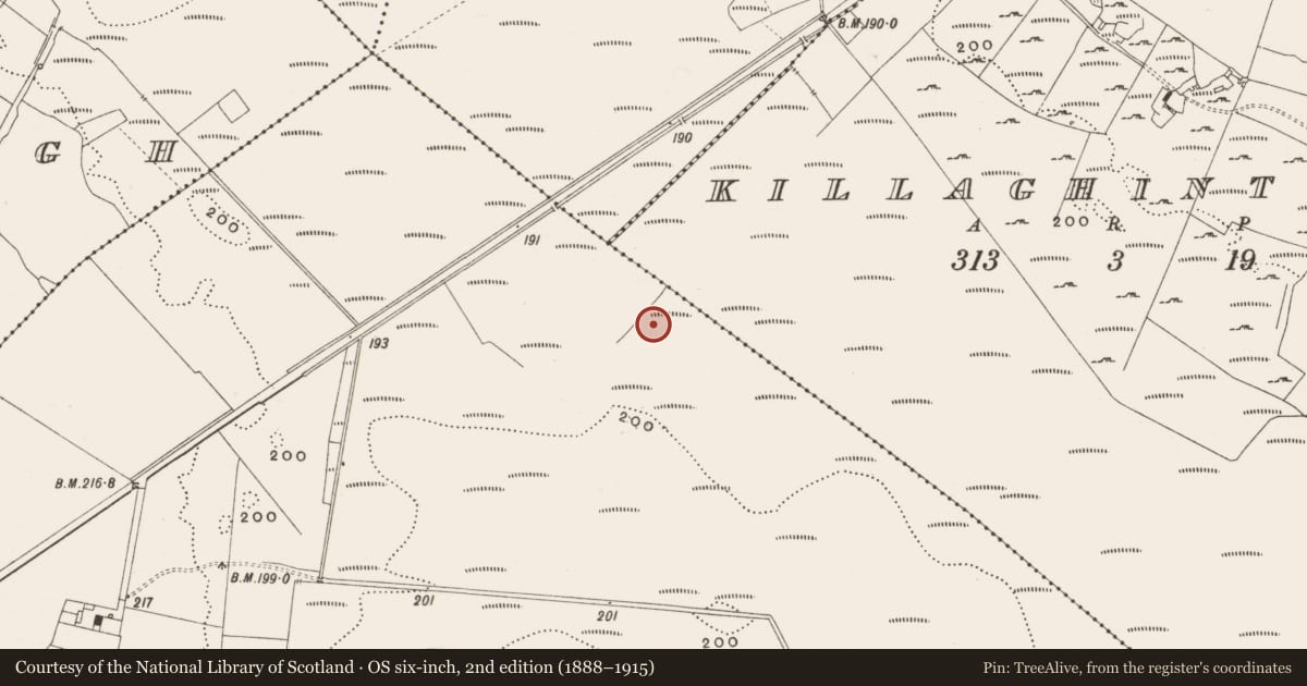 Ordnance Survey six-inch map, 2nd edition (1888–1915) covering the location of Road - class 3 togher, Tumbeagh, County Offaly, with a pin at the register's coordinates