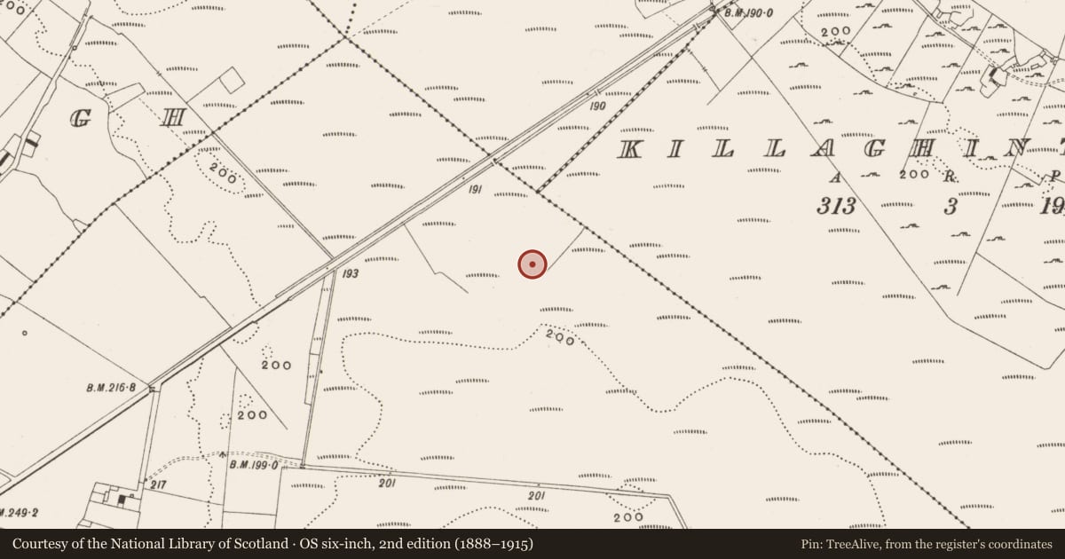 Ordnance Survey six-inch map, 2nd edition (1888–1915) covering the location of Structure - peatland, Tumbeagh, County Offaly, with a pin at the register's coordinates