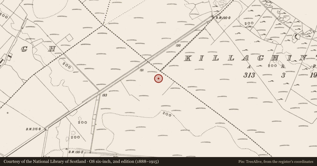 Ordnance Survey six-inch map, 2nd edition (1888–1915) covering the location of Road - class 3 togher, Tumbeagh, County Offaly, with a pin at the register's coordinates