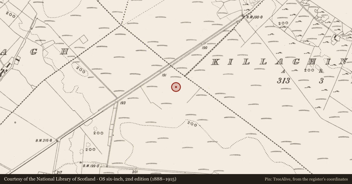 Ordnance Survey six-inch map, 2nd edition (1888–1915) covering the location of Structure - peatland, Tumbeagh, County Offaly, with a pin at the register's coordinates