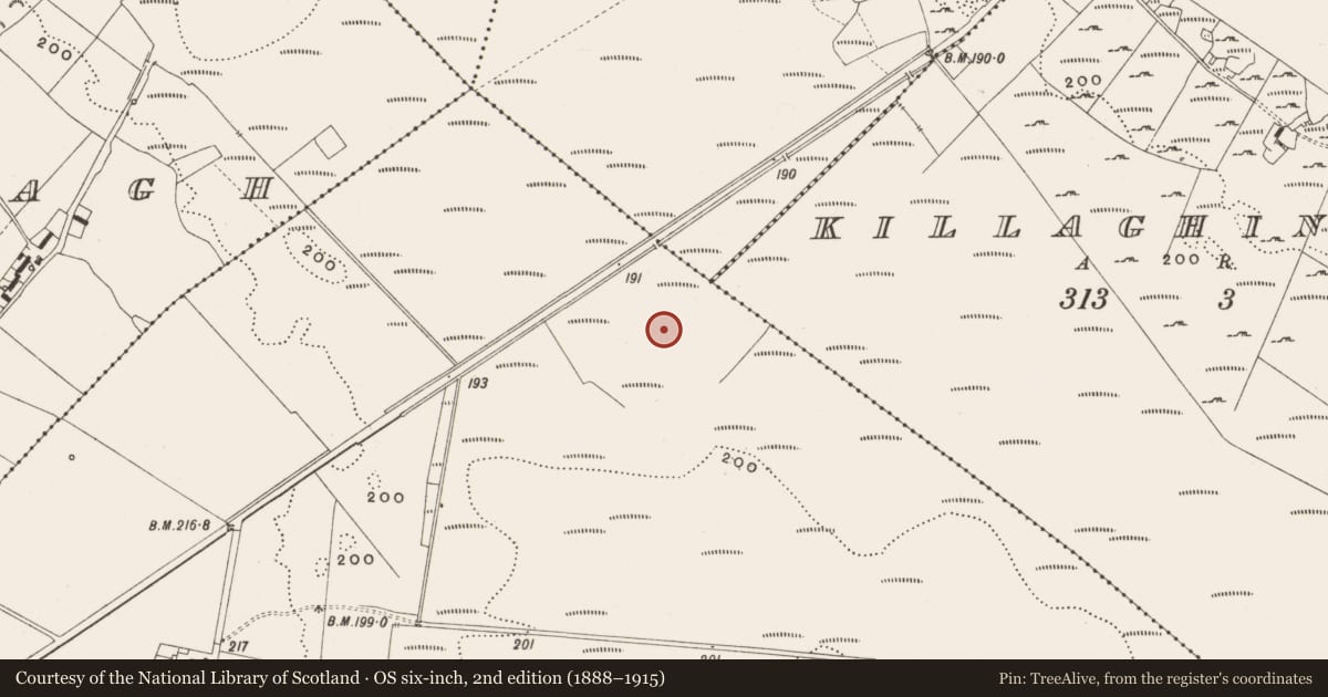 Ordnance Survey six-inch map, 2nd edition (1888–1915) covering the location of Structure - peatland, Tumbeagh, County Offaly, with a pin at the register's coordinates