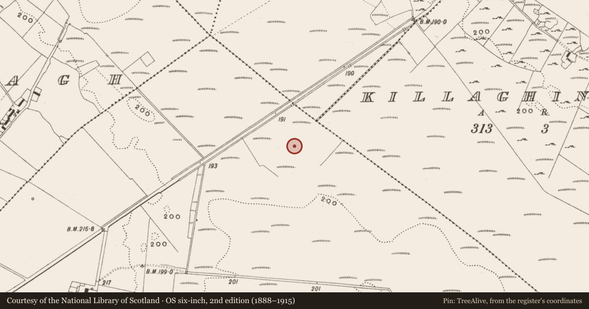Ordnance Survey six-inch map, 2nd edition (1888–1915) covering the location of Structure - peatland, Tumbeagh, County Offaly, with a pin at the register's coordinates