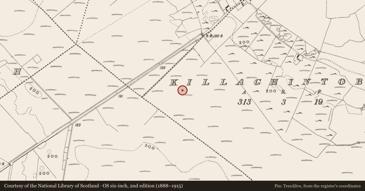 Ordnance Survey six-inch map, 2nd edition (1888–1915) covering the location of Structure - peatland, Tumbeagh, County Offaly, with a pin at the register's coordinates