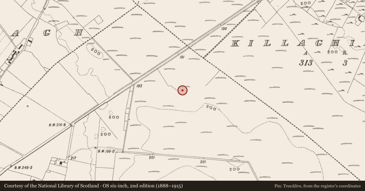 Ordnance Survey six-inch map, 2nd edition (1888–1915) covering the location of Structure - peatland, Tumbeagh, County Offaly, with a pin at the register's coordinates