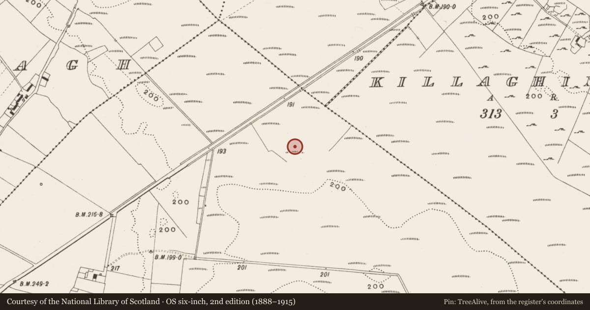 Ordnance Survey six-inch map, 2nd edition (1888–1915) covering the location of Road - class 3 togher, Tumbeagh, County Offaly, with a pin at the register's coordinates