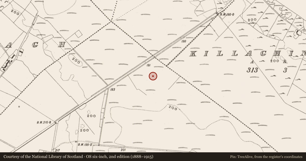 Ordnance Survey six-inch map, 2nd edition (1888–1915) covering the location of Structure - peatland, Tumbeagh, County Offaly, with a pin at the register's coordinates