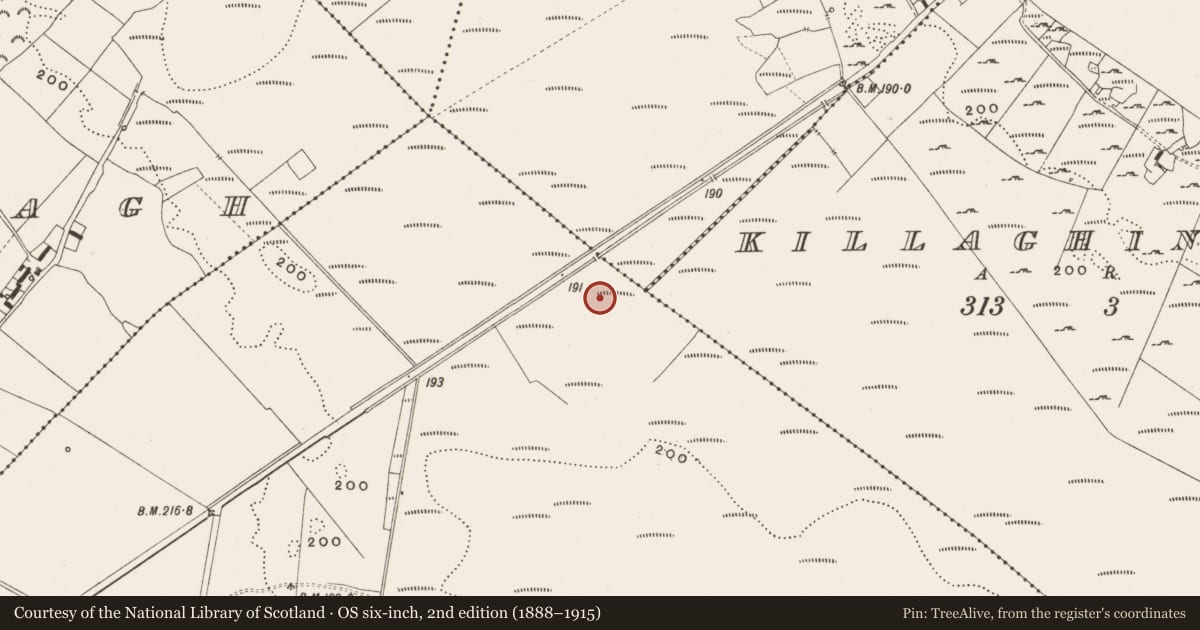 Ordnance Survey six-inch map, 2nd edition (1888–1915) covering the location of Structure - peatland, Tumbeagh, County Offaly, with a pin at the register's coordinates