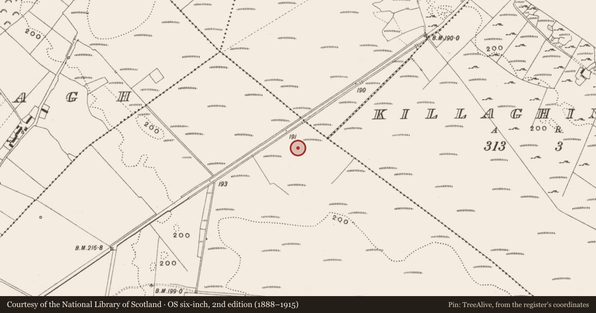 Ordnance Survey six-inch map, 2nd edition (1888–1915) covering the location of Structure - peatland, Tumbeagh, County Offaly, with a pin at the register's coordinates