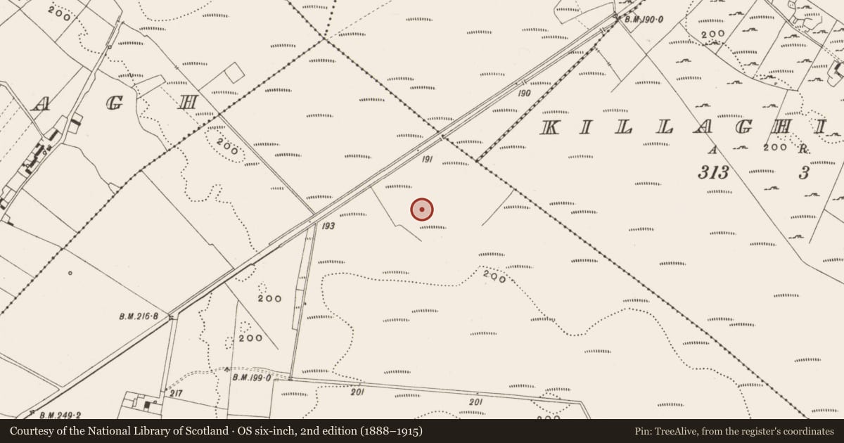 Ordnance Survey six-inch map, 2nd edition (1888–1915) covering the location of Road - class 2 togher, Tumbeagh, County Offaly, with a pin at the register's coordinates