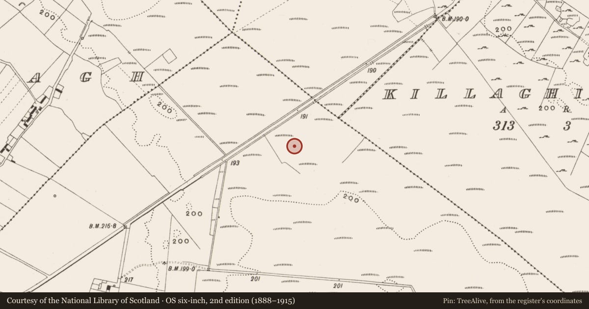 Ordnance Survey six-inch map, 2nd edition (1888–1915) covering the location of Structure - peatland, Tumbeagh, County Offaly, with a pin at the register's coordinates