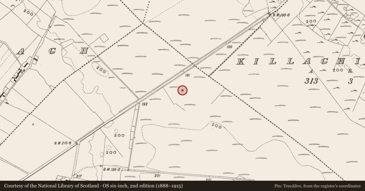 Ordnance Survey six-inch map, 2nd edition (1888–1915) covering the location of Structure - peatland, Tumbeagh, County Offaly, with a pin at the register's coordinates