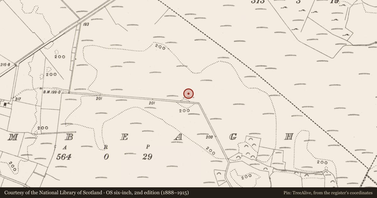 Ordnance Survey six-inch map, 2nd edition (1888–1915) covering the location of Road - class 2 togher, Tumbeagh, County Offaly, with a pin at the register's coordinates