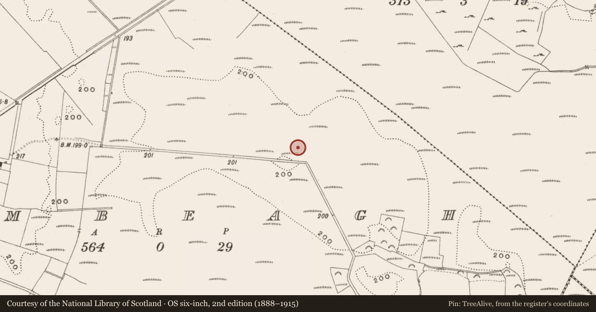 Ordnance Survey six-inch map, 2nd edition (1888–1915) covering the location of Road - class 3 togher, Tumbeagh, County Offaly, with a pin at the register's coordinates