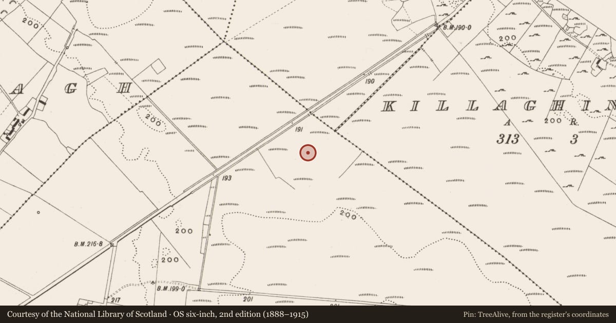 Ordnance Survey six-inch map, 2nd edition (1888–1915) covering the location of Structure - peatland, Tumbeagh, County Offaly, with a pin at the register's coordinates