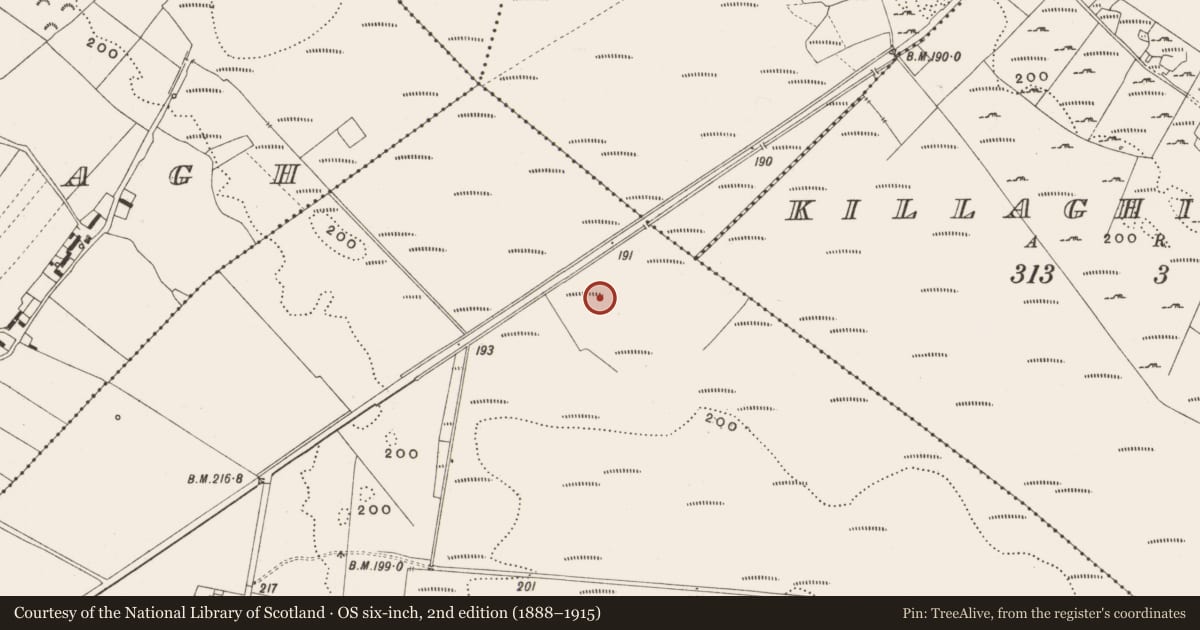 Ordnance Survey six-inch map, 2nd edition (1888–1915) covering the location of Structure - peatland, Tumbeagh, County Offaly, with a pin at the register's coordinates