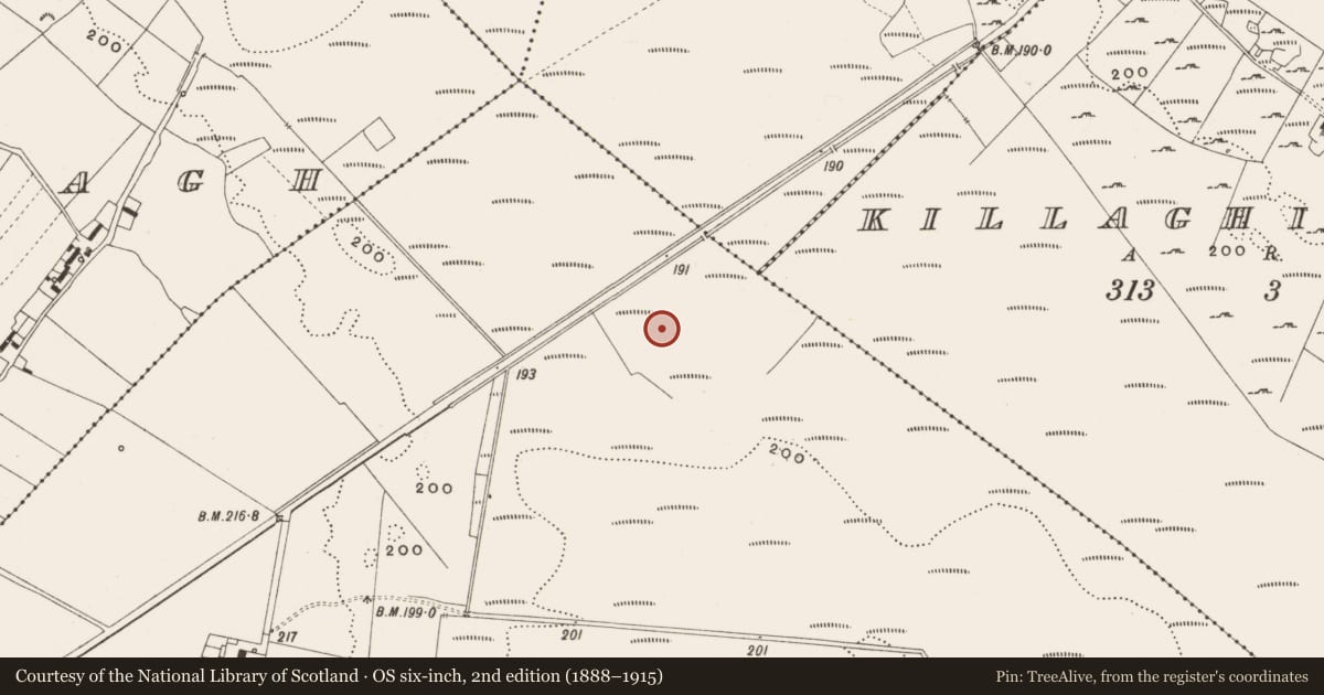 Ordnance Survey six-inch map, 2nd edition (1888–1915) covering the location of Structure - peatland, Tumbeagh, County Offaly, with a pin at the register's coordinates