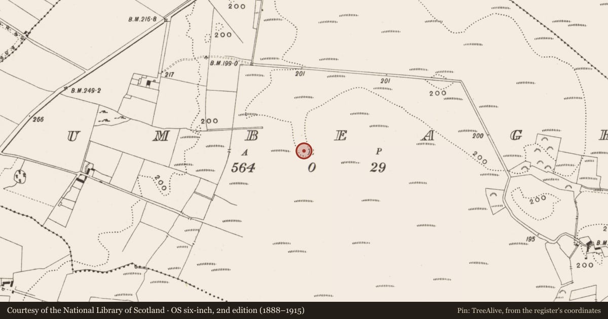Ordnance Survey six-inch map, 2nd edition (1888–1915) covering the location of Road - class 3 togher, Tumbeagh, County Offaly, with a pin at the register's coordinates