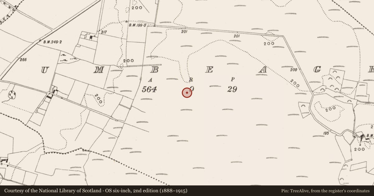 Ordnance Survey six-inch map, 2nd edition (1888–1915) covering the location of Structure - peatland, Tumbeagh, County Offaly, with a pin at the register's coordinates