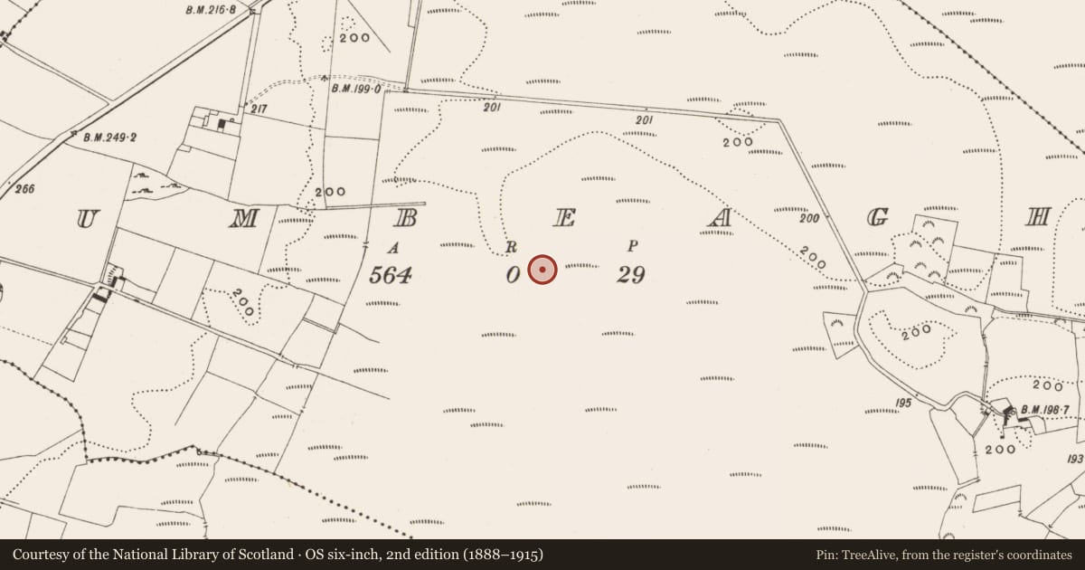 Ordnance Survey six-inch map, 2nd edition (1888–1915) covering the location of Structure - peatland, Tumbeagh, County Offaly, with a pin at the register's coordinates
