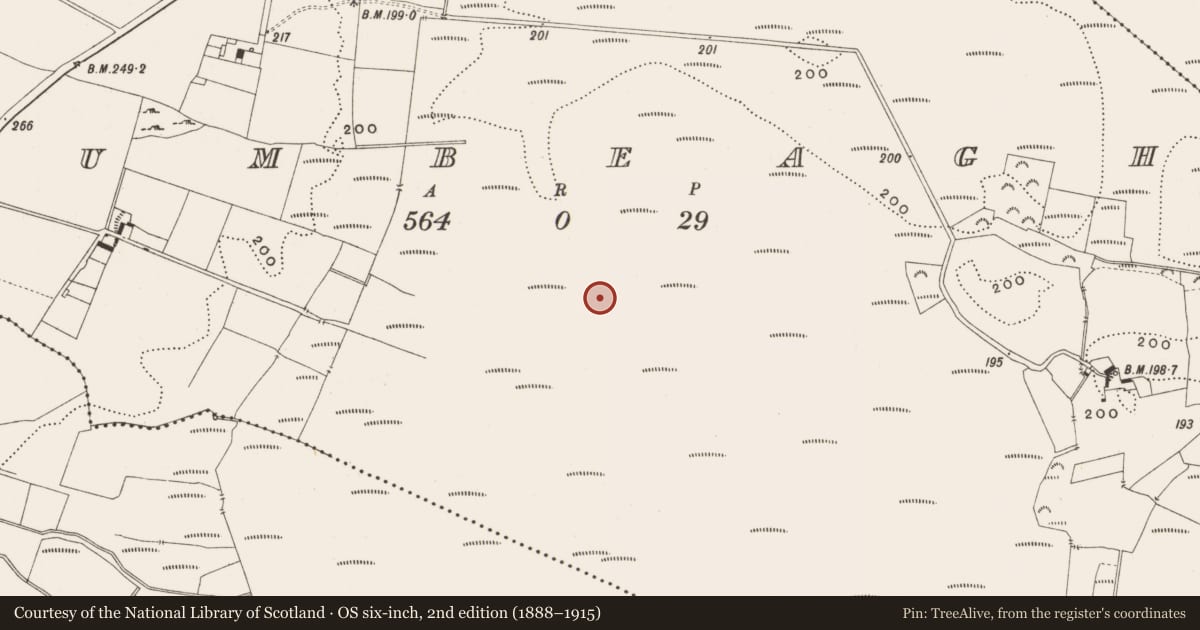 Ordnance Survey six-inch map, 2nd edition (1888–1915) covering the location of Road - class 3 togher, Tumbeagh, County Offaly, with a pin at the register's coordinates