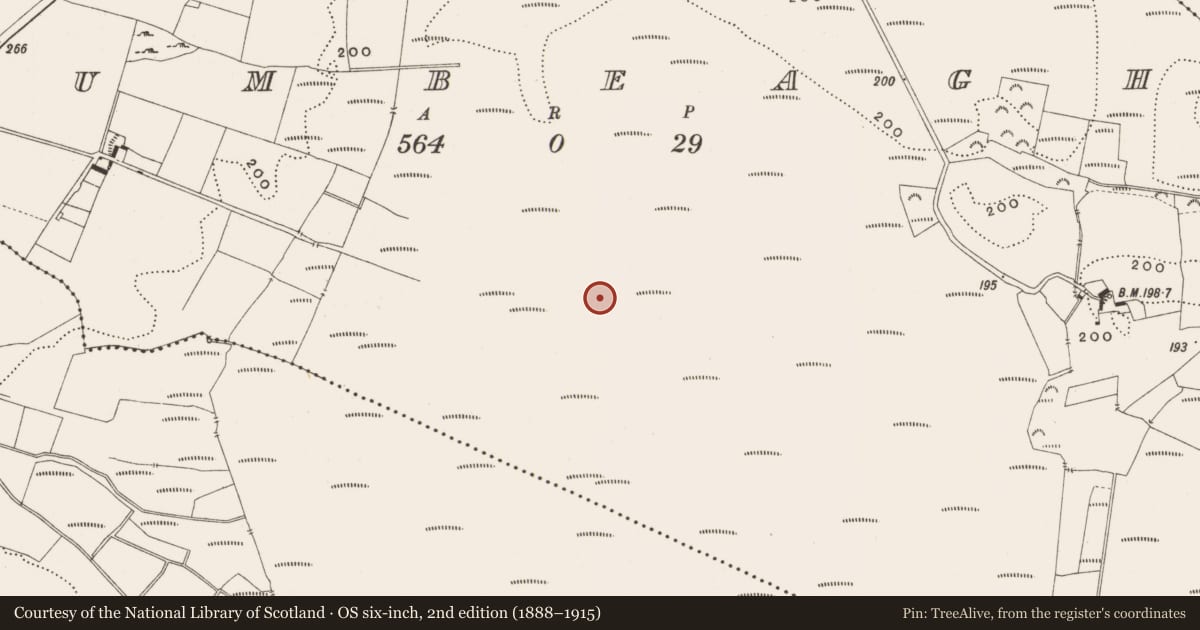 Ordnance Survey six-inch map, 2nd edition (1888–1915) covering the location of Road - class 3 togher, Tumbeagh, County Offaly, with a pin at the register's coordinates