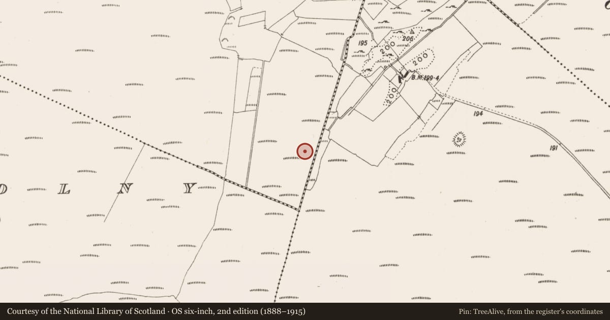 Ordnance Survey six-inch map, 2nd edition (1888–1915) covering the location of Structure - peatland, Tumbeagh, County Offaly, with a pin at the register's coordinates